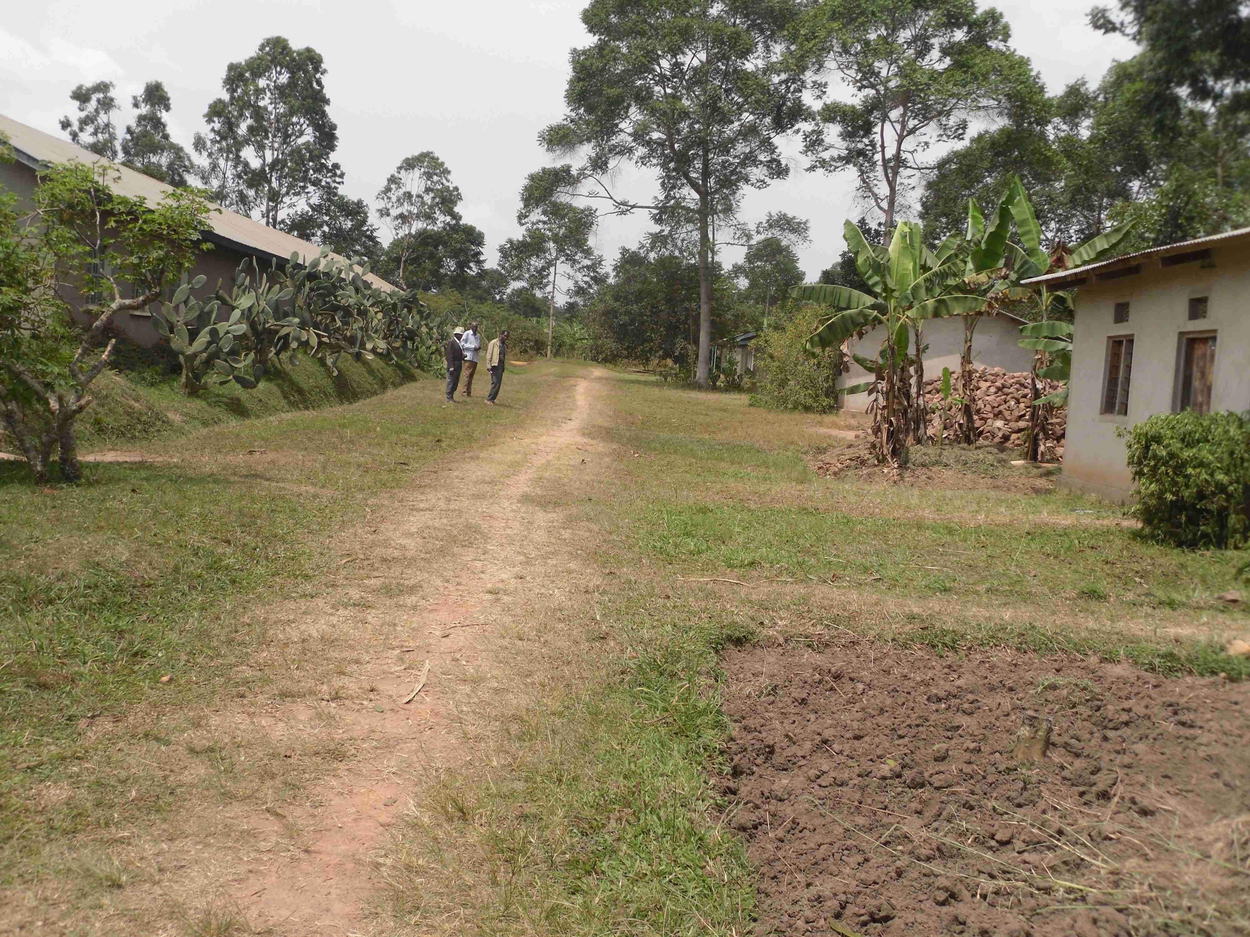 Minziro Secondary School
